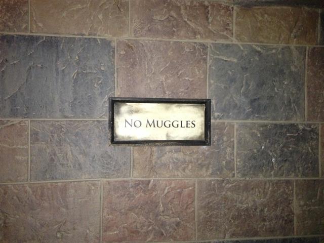No muggles