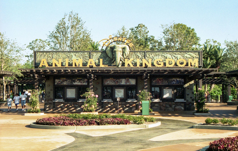 Parques da Disney: Animal Kingdom