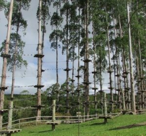 Montanhas capixabas – Rota do Agroturismo e Arvorismo na Selva Sassiri