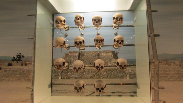 Crânios encontrados em sítios arqueológicos pré-colombinos