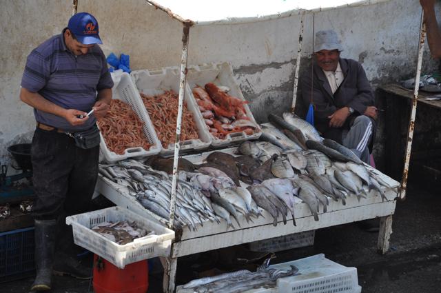 Peixes sendo vendido na entrada da Medina
