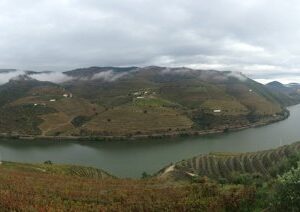 Tudo o que você precisa saber antes de visitar Porto e a região do Douro