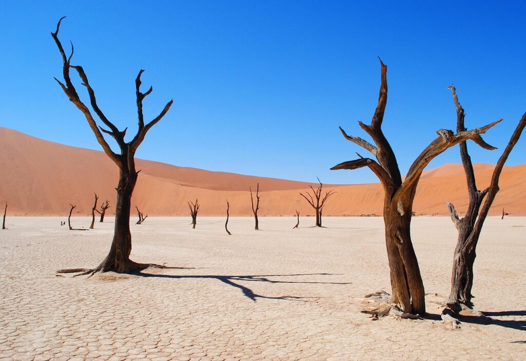 Viagem para a África: Namíbia