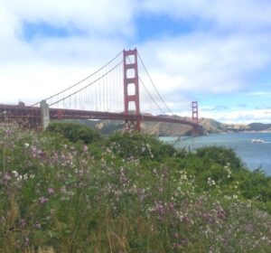 Passeio de carro pela Golden Gate e Sausalito