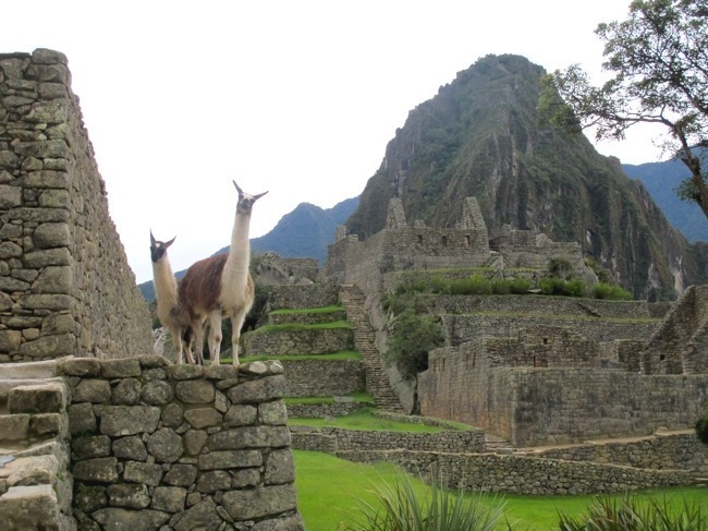 Moradores locais de Machu Picchu