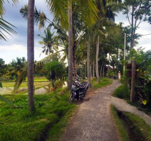 O que fazer em Bali – Passeios em Ubud e arredores