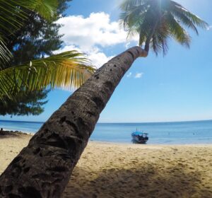 Muito além de Bali: conheça 6 destinos incríveis na Indonésia
