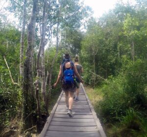 5 lições que eu aprendi em dois dias no meio da selva em Bornéu