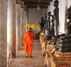 Descubra 5 expressões que ajudam a entender melhor o mundo