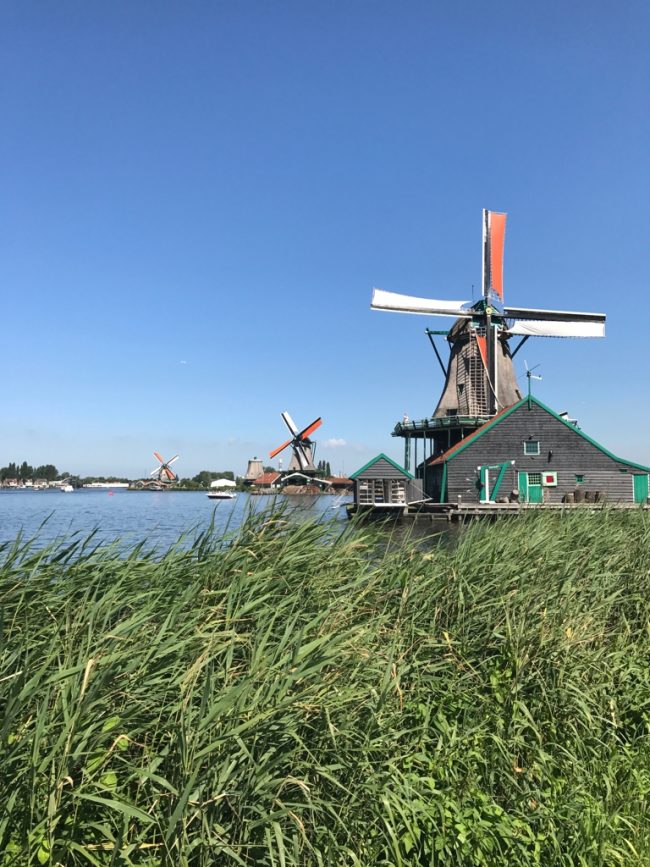 Zaanse Schans, vilarejo fofo e bem típico holandês pertinho de Amsterdam