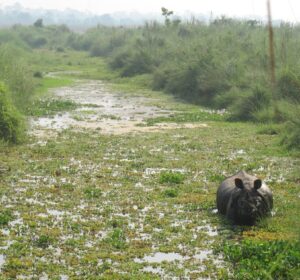 Beleza em um safári a pé no Nepal – ou o dia que mais senti medo na vida