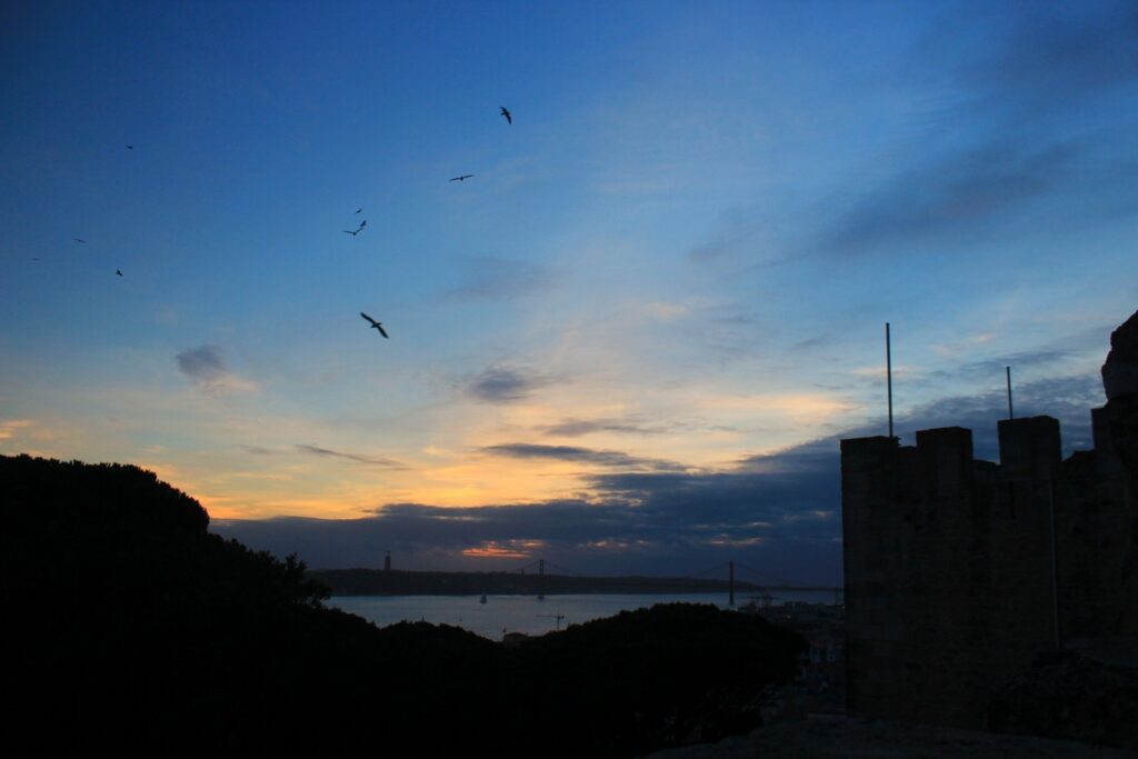 Entardecer nem Lisboa. Pássaros voando em um céu azul com um contorno das sombras do castelo de São Jorge