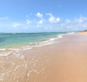 O que fazer em Porto de Galinhas: 7 passeios imperdíveis