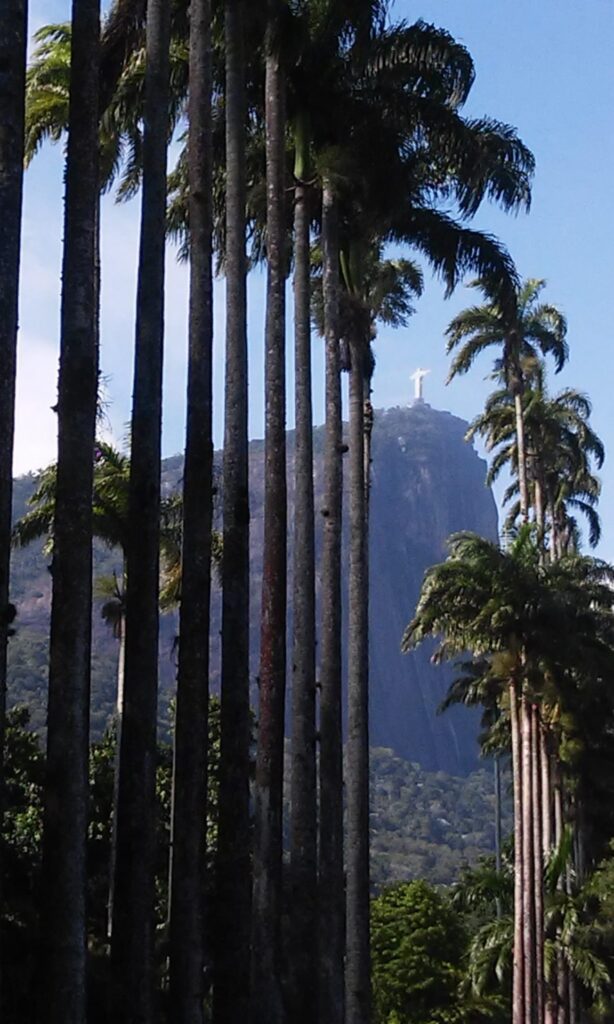 Pontos turísticos Rio de Janeiro Jardim Botânico