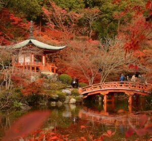 Viagem para o Japão: tudo que você precisa saber