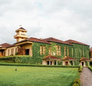 Vinícolas do Vale dos Vinhedos: tudo sobre a Rota da Uva e Vinho