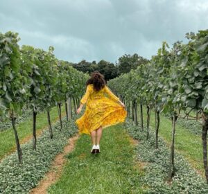 Roteiro Serra Gaúcha: nossa viagem pelo Vale dos Vinhedos