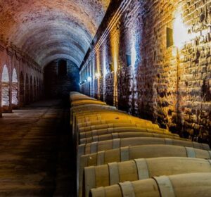 Vinícolas em Santiago: vinhos a um pulo do centro da capital