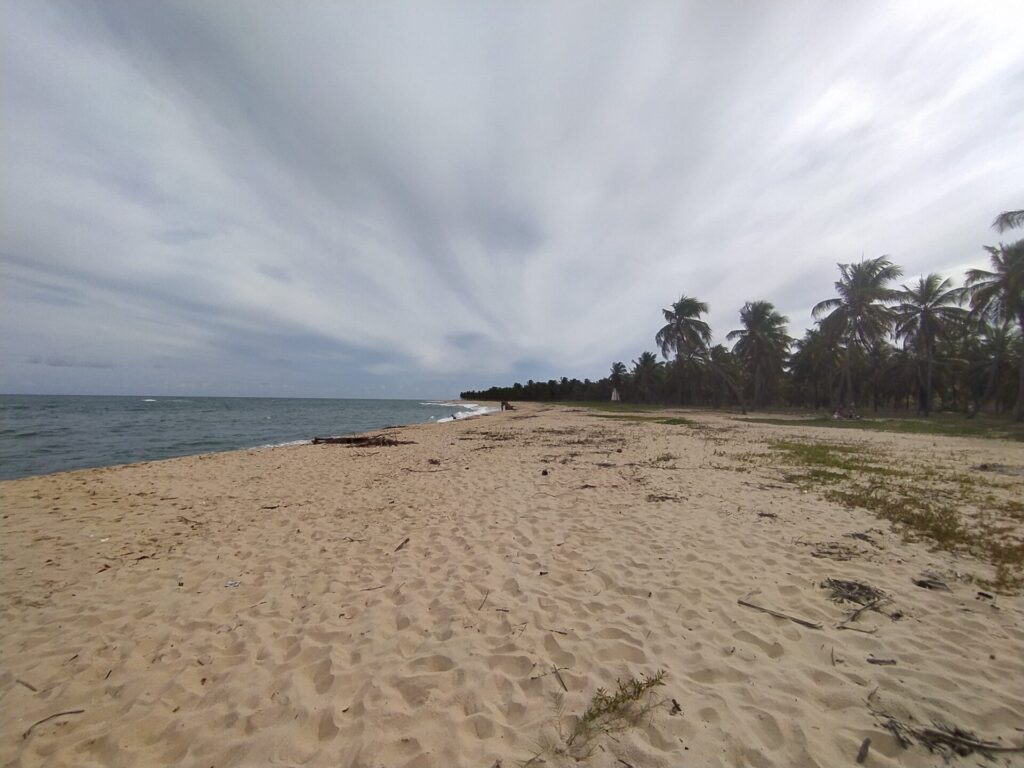 Praia do Gunga - litoral sul de Alagoas