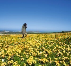 Pontos turísticos da África do Sul: 17 atrações imperdíveis