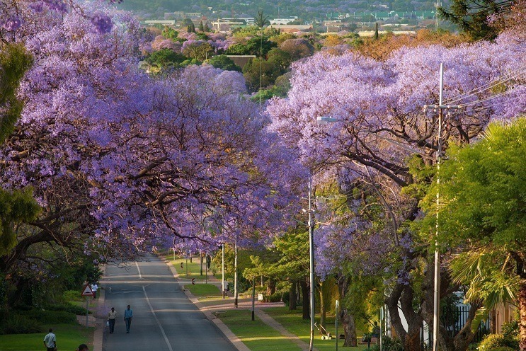 Pretoria, cidade na África do Sul
