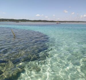 Conheça a praia de São Miguel dos Milagres, em Alagoas