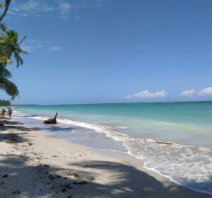 Caribe Brasileiro: tudo o que você precisa saber sobre Maragogi