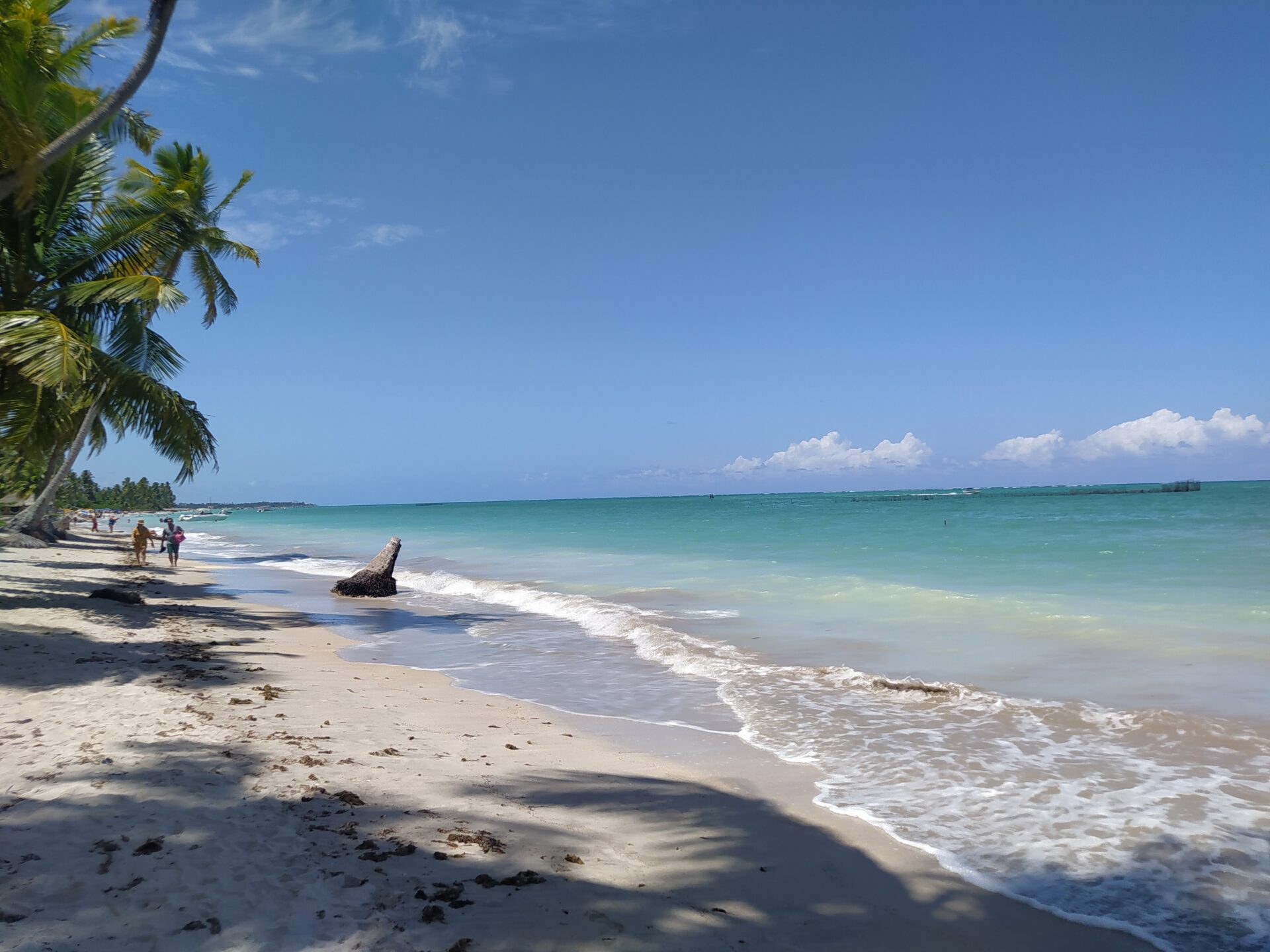 Maragogi: onde fica, praias, o que fazer e mais! - Turista