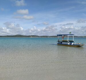 Caribe Brasileiro: descubra tudo sobre a Costa dos Corais
