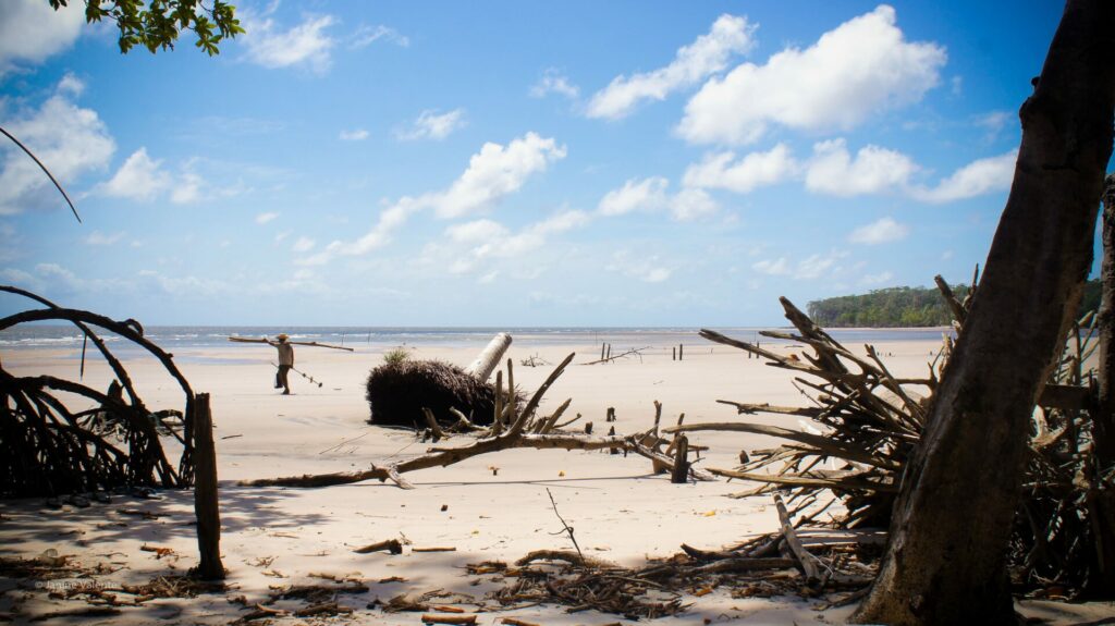 Praia Ilha do Marajó Pará