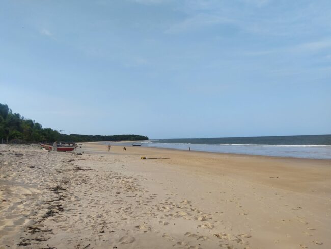 Tudo sobre a Ilha do Marajó, joia do norte do Brasil