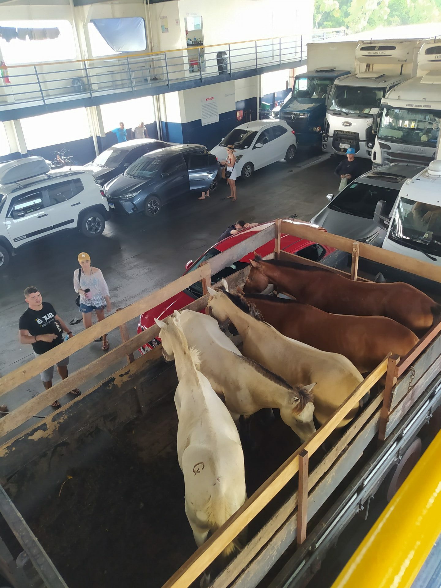 Https://Www.Passagenspromo.Com.Br/Blog/Ilha De Marajo/ - oeozjlr