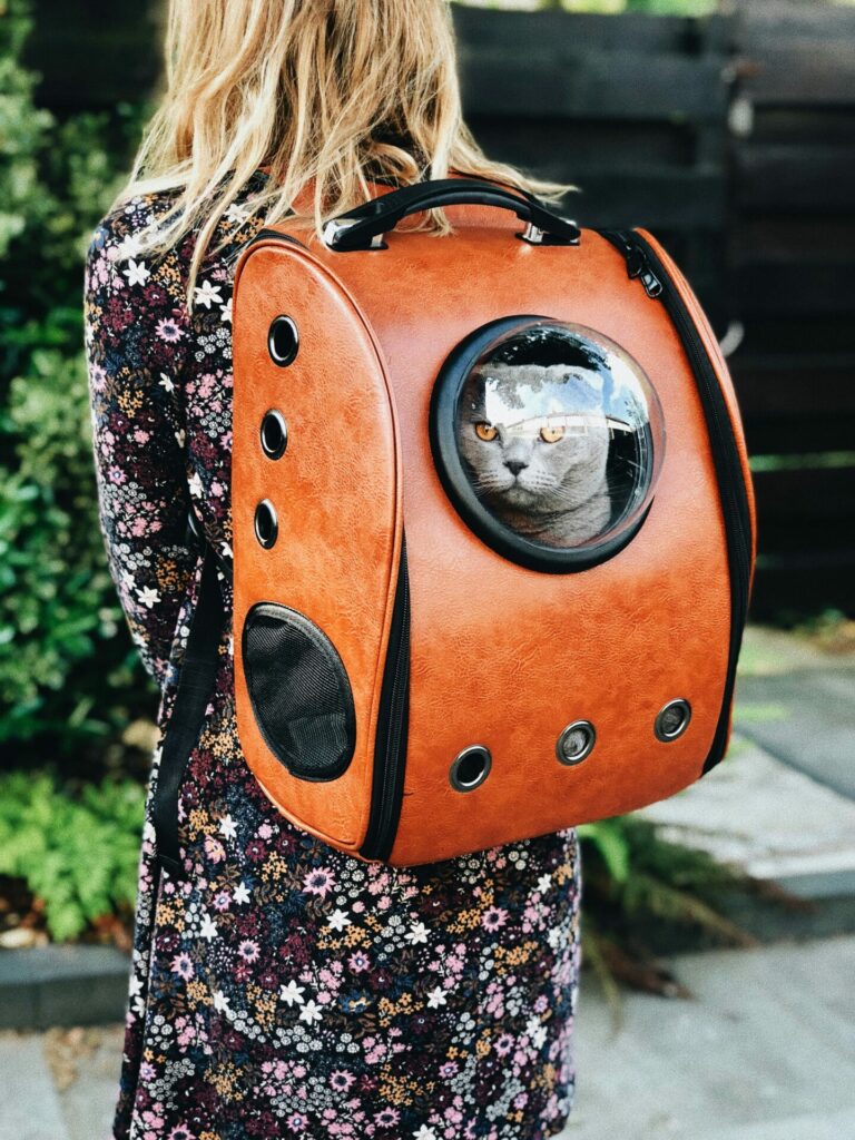 pet gato mochila mala