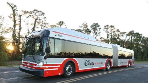 Ônibus Disney Orlando